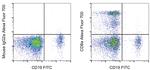 CD8a Monoclonal Antibody (OKT8 (OKT-8)), Alexa Fluor™ 700, eBioscience™