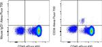 CD34 Monoclonal Antibody (4H11), Alexa Fluor™ 700, eBioscience™
