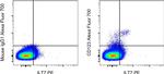 CD123 Monoclonal Antibody (6H6), Alexa Fluor™ 700, eBioscience™