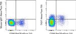 TIGIT Monoclonal Antibody (MBSA43), Alexa Fluor™ 700, eBioscience™