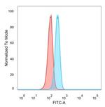 Homeobox and Leucine Zipper Encoding/HOMEZ Antibody in Flow Cytometry (Flow)