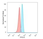 Homeobox and Leucine Zipper Encoding/HOMEZ Antibody in Flow Cytometry (Flow)