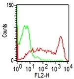 CD45RO (T-Cell Marker) Antibody in Flow Cytometry (Flow)
