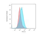 CD45/LCA Antibody in Flow Cytometry (Flow)