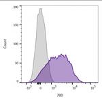 CD45/LCA (B-Cell Marker) Antibody in Flow Cytometry (Flow)