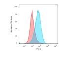 CD45/LCA Antibody in Flow Cytometry (Flow)