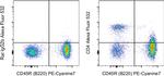 CD4 Monoclonal Antibody (GK1.5), Alexa Fluor™ 532, eBioscience™