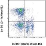 Ly-6G/Ly-6C Monoclonal Antibody (RB6-8C5), Alexa Fluor™ 532, eBioscience™
