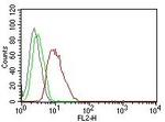 Cyclin D1 (G1-Cyclin and Mantle Cell Marker) Antibody in Flow Cytometry (Flow)