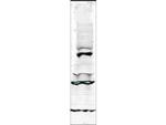 Tlk1 Polyclonal Antibody