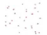 FOXO3 Antibody in Immunocytochemistry (ICC/IF)