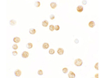 GBP6 Antibody in Immunocytochemistry (ICC/IF)