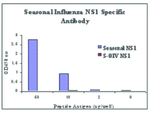 Seasonal H1N1 Nonstructural Protein 1 Polyclonal Antibody