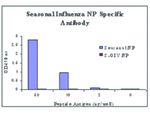 Seasonal H1N1 Nucleocapsid Protein Polyclonal Antibody