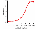 Avian Influenza Neuraminidase Antibody in ELISA (ELISA)