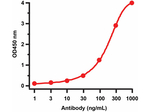 Avian Influenza Neuraminidase Antibody in ELISA (ELISA)