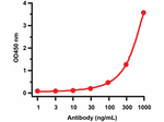 H1N1 Neuraminidase Antibody in ELISA (ELISA)
