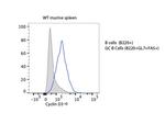 Cyclin D3 Antibody in Flow Cytometry (Flow)
