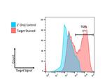 TGF beta Receptor 1 Antibody in Flow Cytometry (Flow)