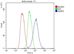 NLRP3 Antibody in Flow Cytometry (Flow)
