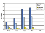 Histone H4 pan Antibody in ChIP Assay (ChIP)