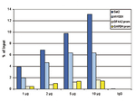 Histone H2A pan Antibody in ChIP Assay (ChIP)