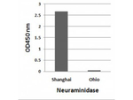 Avian Influenza A H7N9 Neuraminidase Polyclonal Antibody