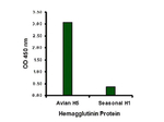 Avian Influenza Hemagglutinin Antibody in ELISA (ELISA)