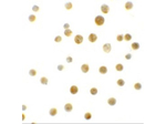 BCL9L Antibody in Immunocytochemistry (ICC/IF)
