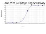 VSV-G Epitope Tag Antibody in ELISA (ELISA)