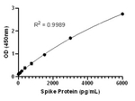 SARS-CoV-2 Whole Spike Protein Antibody in ELISA (ELISA)