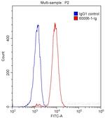 CD38 Antibody in Flow Cytometry (Flow)