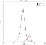 GATA1 Antibody in Flow Cytometry (Flow)