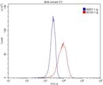 CD206 Antibody in Flow Cytometry (Flow)