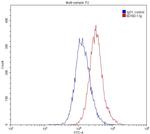 FUS/TLS Antibody in Flow Cytometry (Flow)
