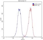 CD3 Antibody in Flow Cytometry (Flow)