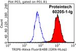 TRIP6 Antibody in Flow Cytometry (Flow)