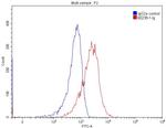 Desmocollin 2 Antibody in Flow Cytometry (Flow)