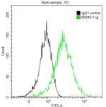 p504S/AMACR Antibody in Flow Cytometry (Flow)