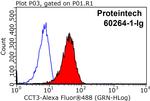 CCT3 Antibody in Flow Cytometry (Flow)