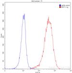 CD20 Antibody in Flow Cytometry (Flow)