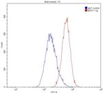 GOT1 Antibody in Flow Cytometry (Flow)