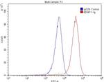 CD3 gamma Antibody in Flow Cytometry (Flow)