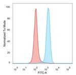 BACH2 (Transcription Factor) Monoclonal Antibody (PCRP-BACH2-5B11)