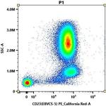 CD23 Antibody in Flow Cytometry (Flow)