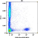 CD20 Antibody in Flow Cytometry (Flow)