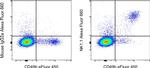 NK1.1 Antibody in Flow Cytometry (Flow)
