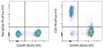 CD5 Monoclonal Antibody (53-7.3), PE-eFluor™ 610, eBioscience™