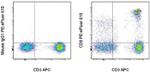 CD8a Monoclonal Antibody (RPA-T8), PE-eFluor™ 610, eBioscience™