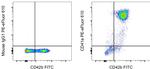 CD41a Monoclonal Antibody (HIP8), PE-eFluor™ 610, eBioscience™